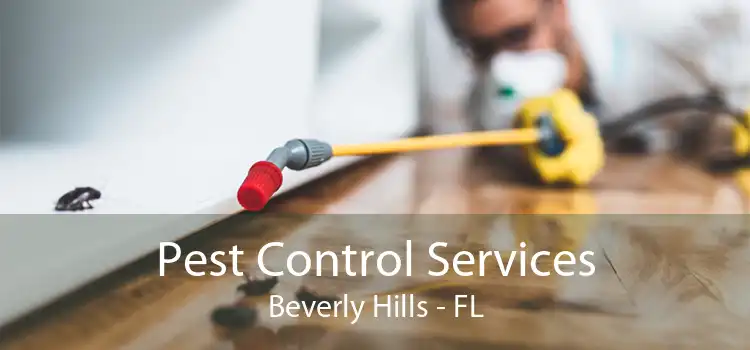 Pest Control Services Beverly Hills - FL
