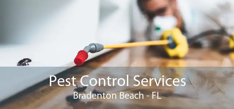 Pest Control Services Bradenton Beach - FL