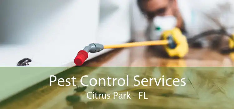 Pest Control Services Citrus Park - FL