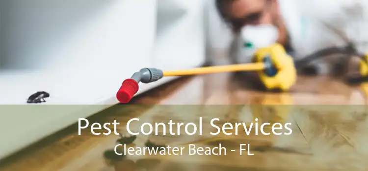 Pest Control Services Clearwater Beach - FL