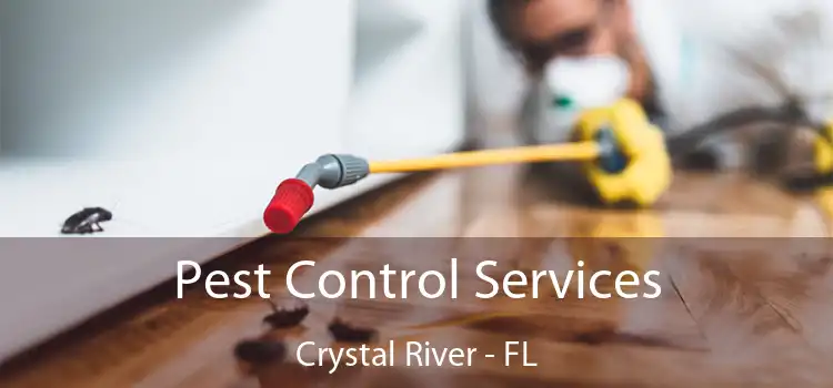 Pest Control Services Crystal River - FL