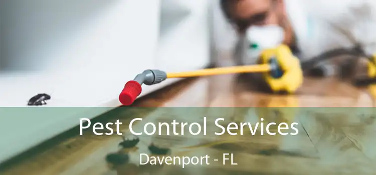 Pest Control Services Davenport - FL