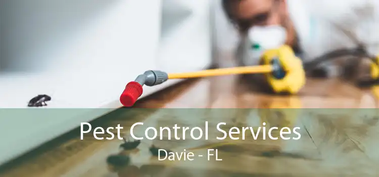 Pest Control Services Davie - FL