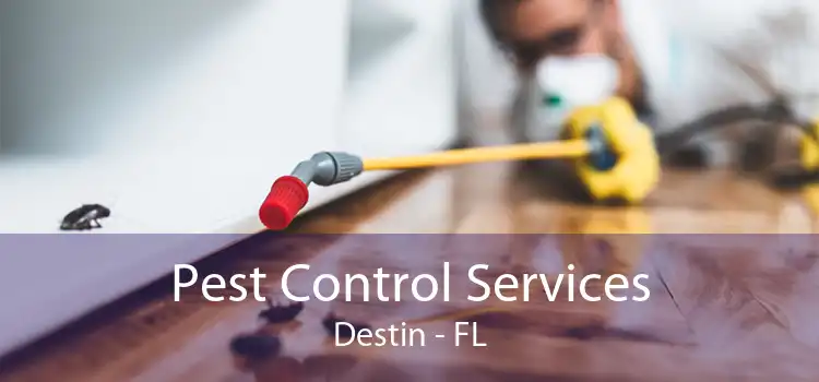 Pest Control Services Destin - FL