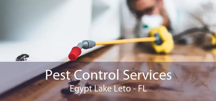 Pest Control Services Egypt Lake Leto - FL