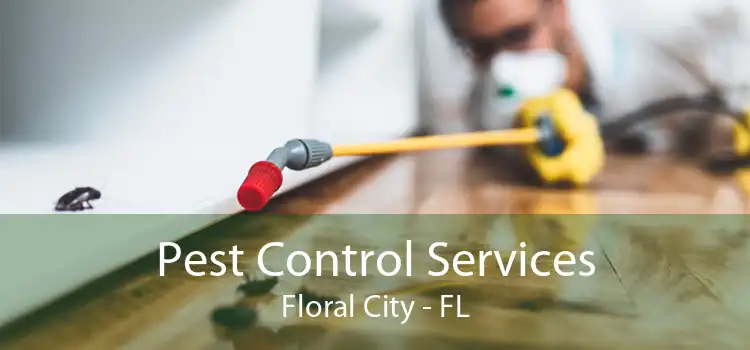 Pest Control Services Floral City - FL