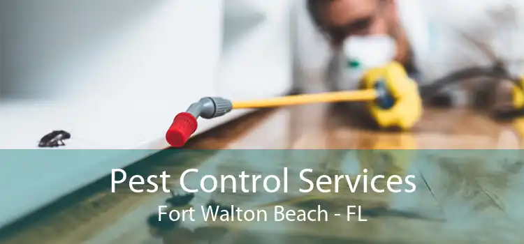 Pest Control Services Fort Walton Beach - FL