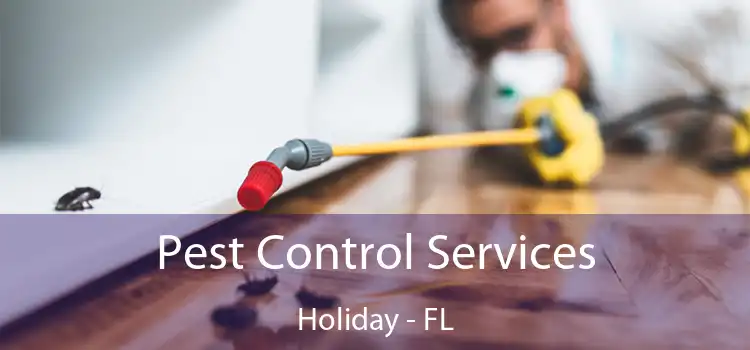 Pest Control Services Holiday - FL