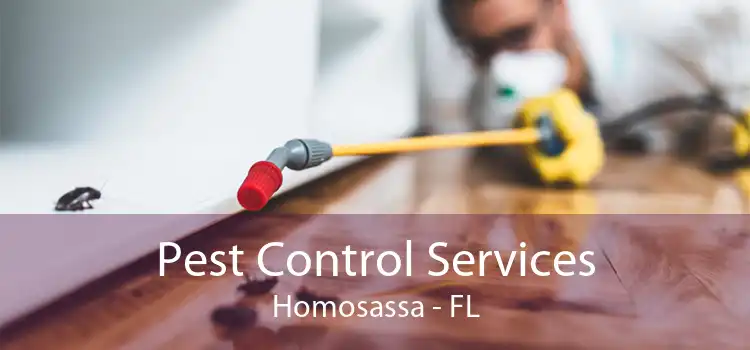 Pest Control Services Homosassa - FL