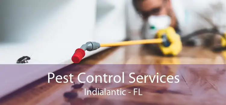 Pest Control Services Indialantic - FL