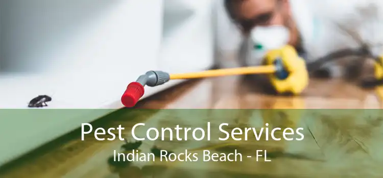 Pest Control Services Indian Rocks Beach - FL