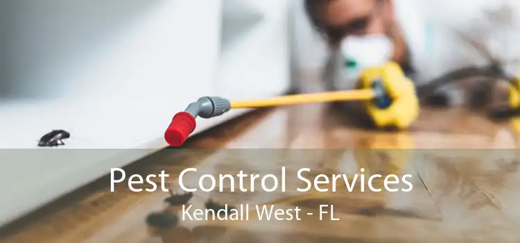 Pest Control Services Kendall West - FL