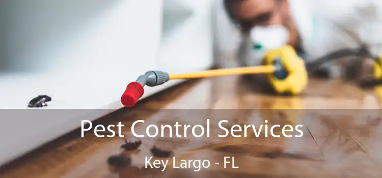 Pest Control Services Key Largo - FL