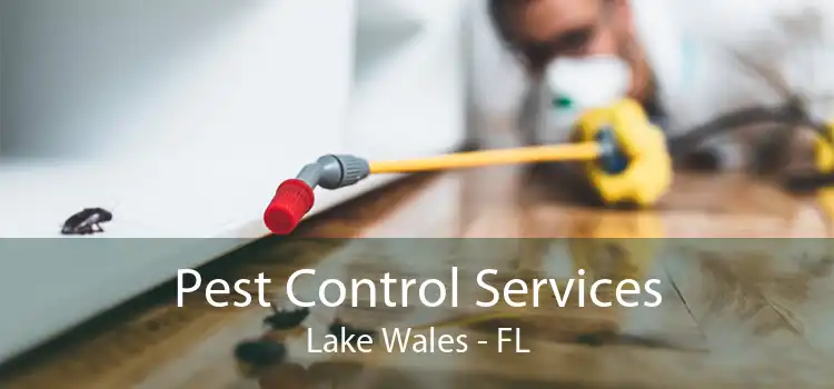 Pest Control Services Lake Wales - FL