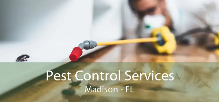 Pest Control Services Madison - FL