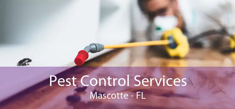 Pest Control Services Mascotte - FL