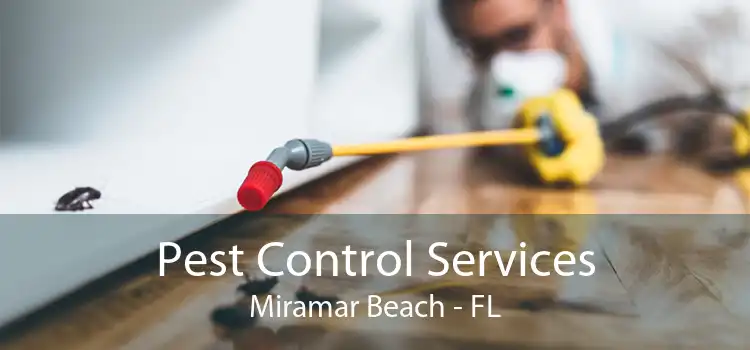 Pest Control Services Miramar Beach - FL