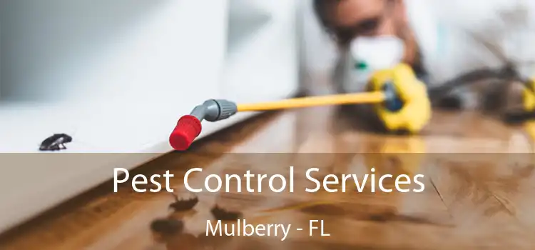  Pest Control Services Mulberry - FL