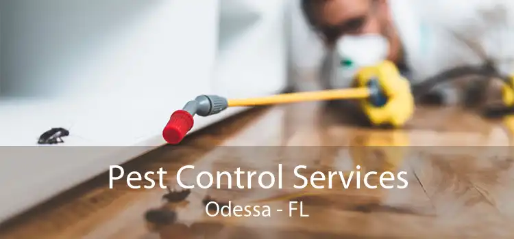 Pest Control Services Odessa - FL