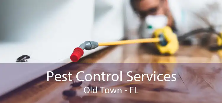 Pest Control Services Old Town - FL