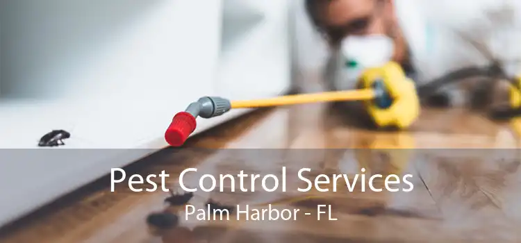 Pest Control Services Palm Harbor - FL