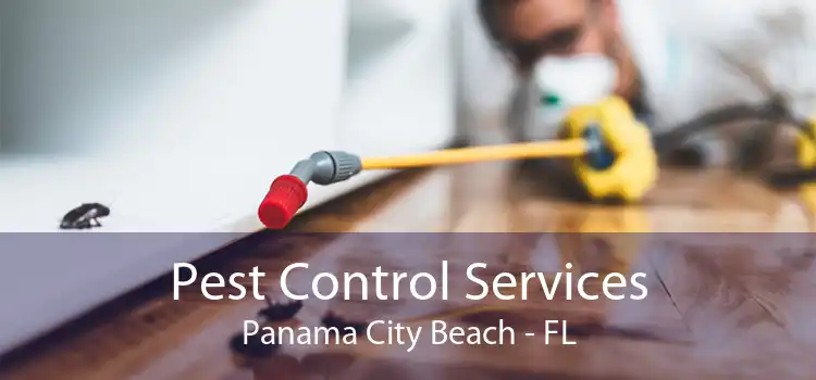 Pest Control Services Panama City Beach - FL