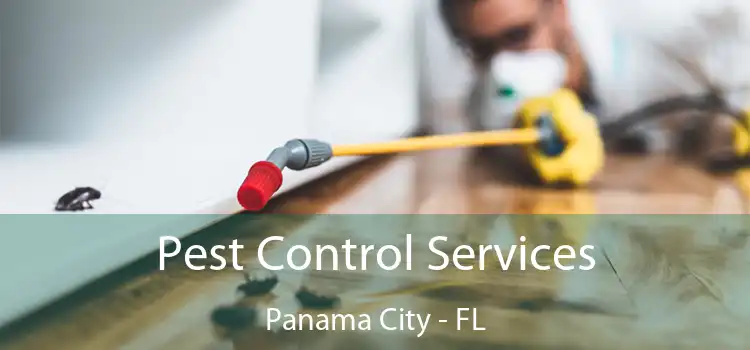 Pest Control Services Panama City - FL