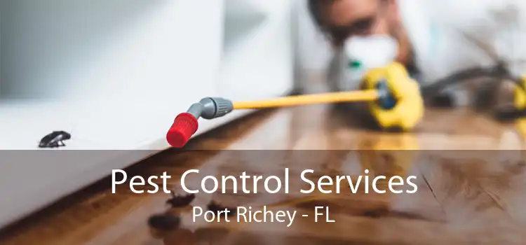 Pest Control Services Port Richey - FL