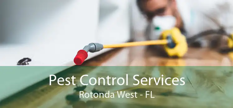 Pest Control Services Rotonda West - FL