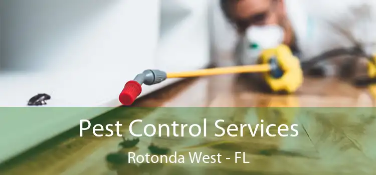 Pest Control Services Rotonda West - FL