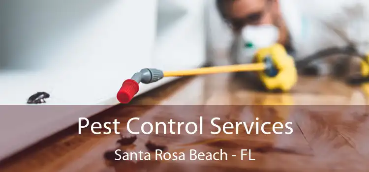  Pest Control Services Santa Rosa Beach - FL