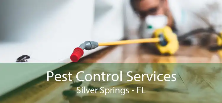 Pest Control Services Silver Springs - FL