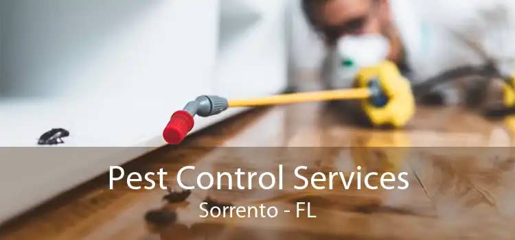 Pest Control Services Sorrento - FL