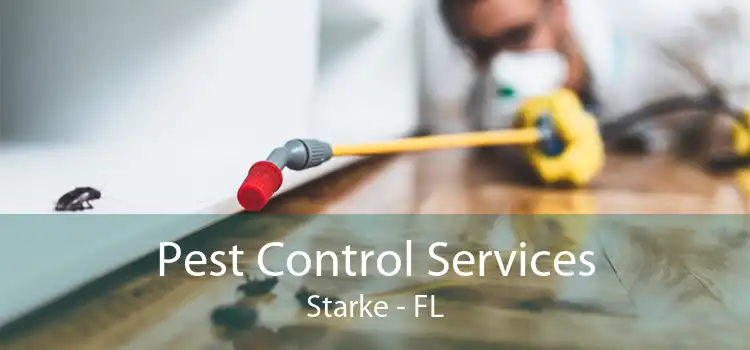 Pest Control Services Starke - FL