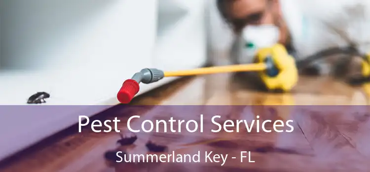 Pest Control Services Summerland Key - FL