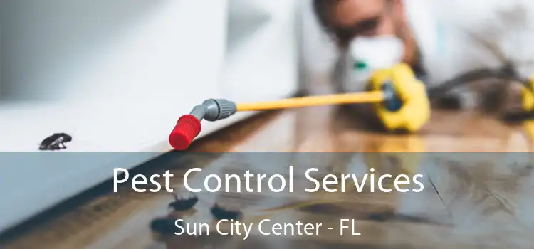 Pest Control Services Sun City Center - FL