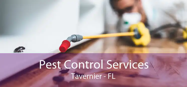 Pest Control Services Tavernier - FL