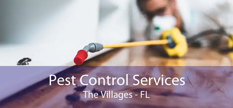 Pest Control Services The Villages - FL