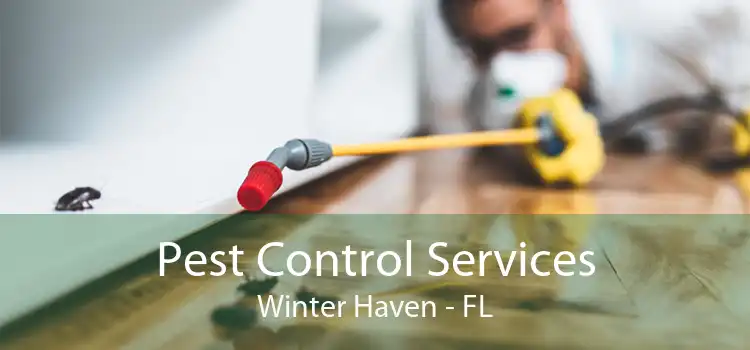 Pest Control Services Winter Haven - FL