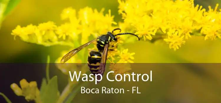 Wasp Control Boca Raton - FL
