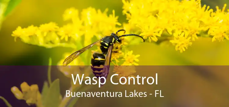 Wasp Control Buenaventura Lakes - FL