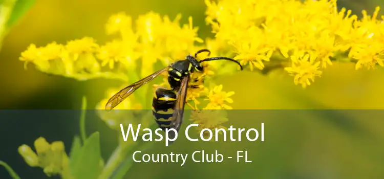 Wasp Control Country Club - FL