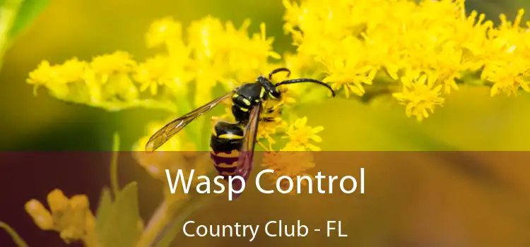 Wasp Control Country Club - FL