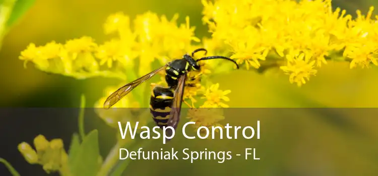 Wasp Control Defuniak Springs - FL