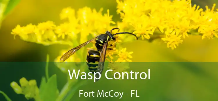 Wasp Control Fort McCoy - FL