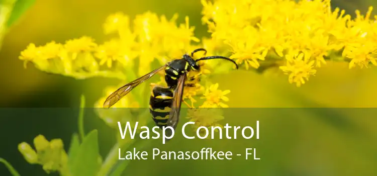 Wasp Control Lake Panasoffkee - FL