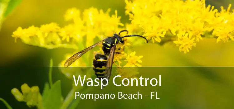 Wasp Control Pompano Beach - FL