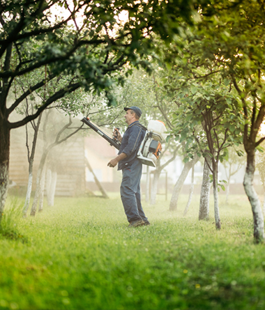 best pest control in Green Cove Springs